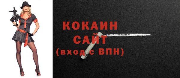 соль ск Гатчина