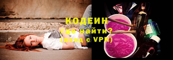 шишки Вуктыл