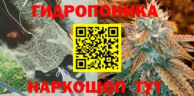 крисы Апшеронск