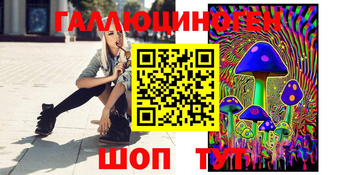 Псилоцибиновые грибы Psilocybe  Псилоцибиновые грибы MAGIC MUSHROOMS  Баксан 