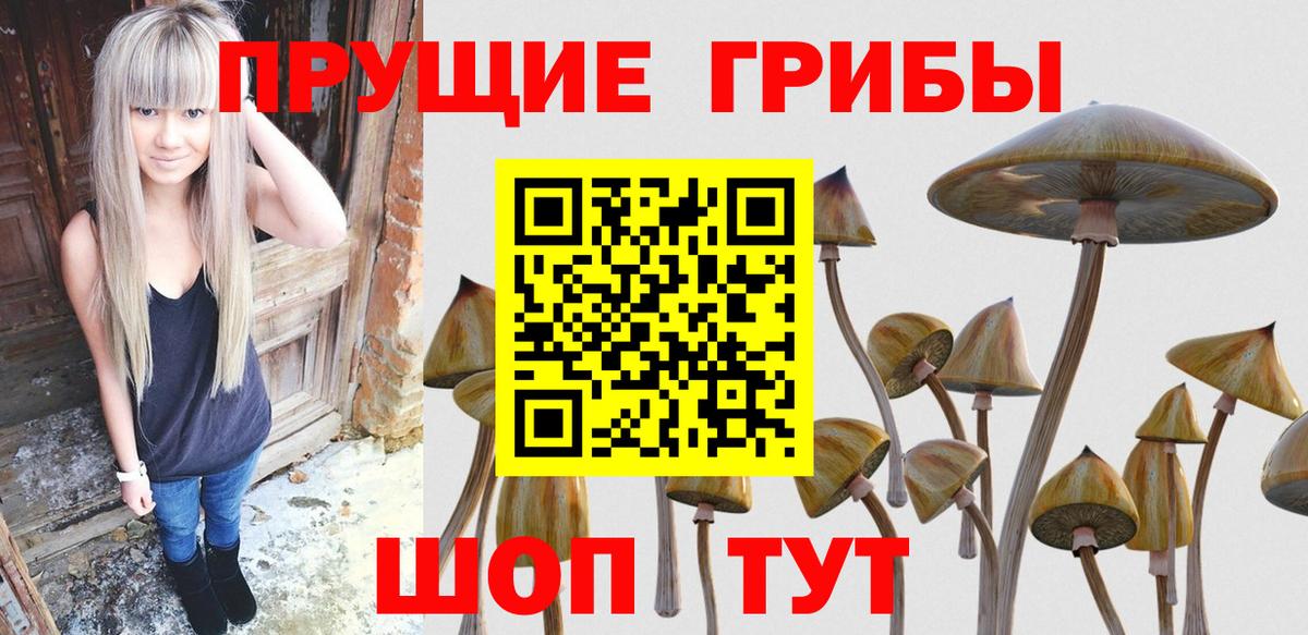 Баксан  Галлюциногенные грибы мицелий  наркота  Галлюциногенные грибы MAGIC MUSHROOMS  Вход с VPN 