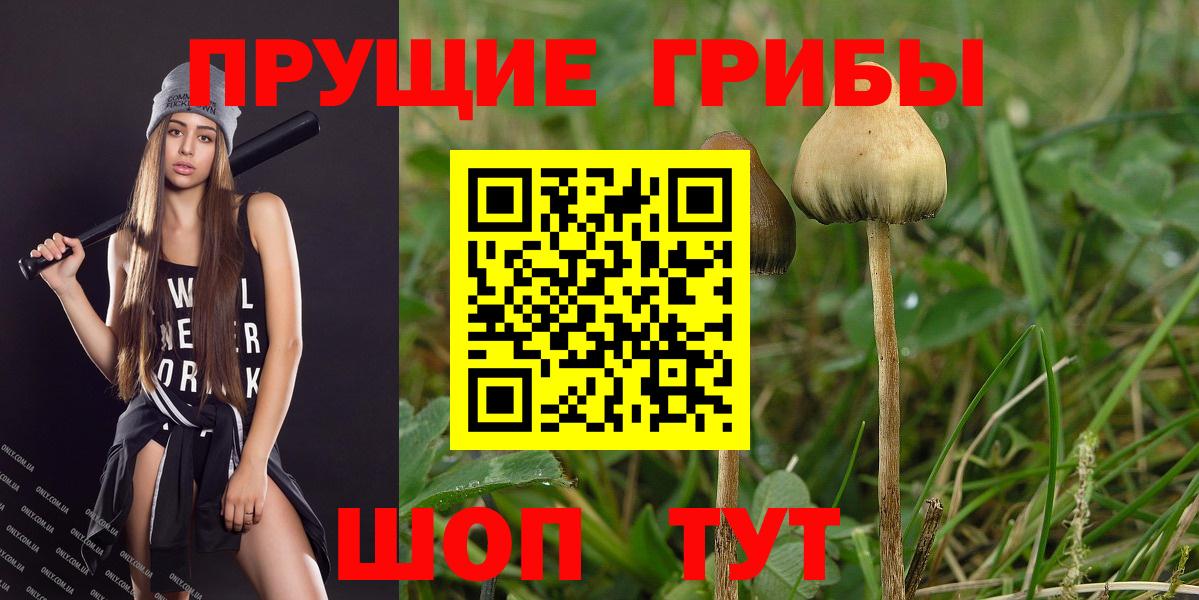 Галлюциногенные грибы Psilocybine cubensis Баксан