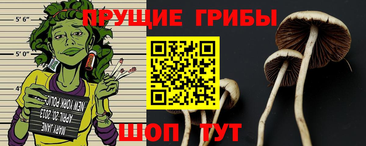 Cocaine  Баксан  МЕФ   ГАШИШ  A-PVP СОЛЬ   Канабис  Вход с VPN 